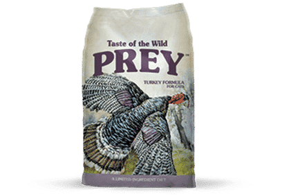 טייסט אוף דה ווילד Prey הודו לחתול