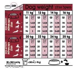טבלת האכלה רויאל קנין מדיום