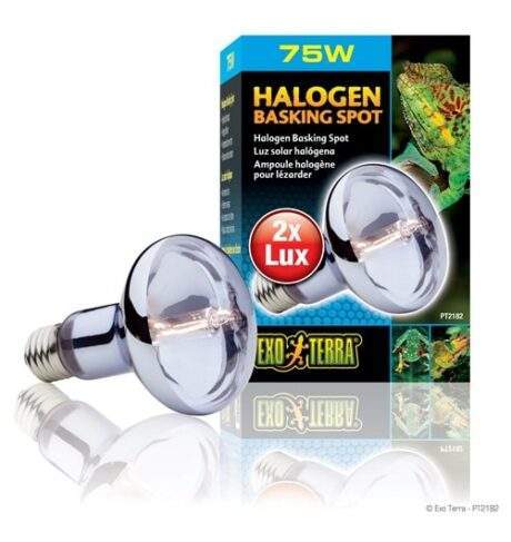 אקזוטרה מנורת הלוגן לזוחלים 75W