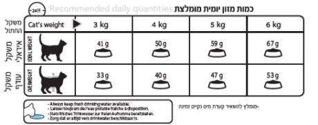 רויאל קנין היירבול מזון לחתולים טבלת האכלה