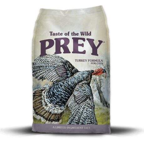 טייסט אוף דה ווילד Prey הודו לחתול