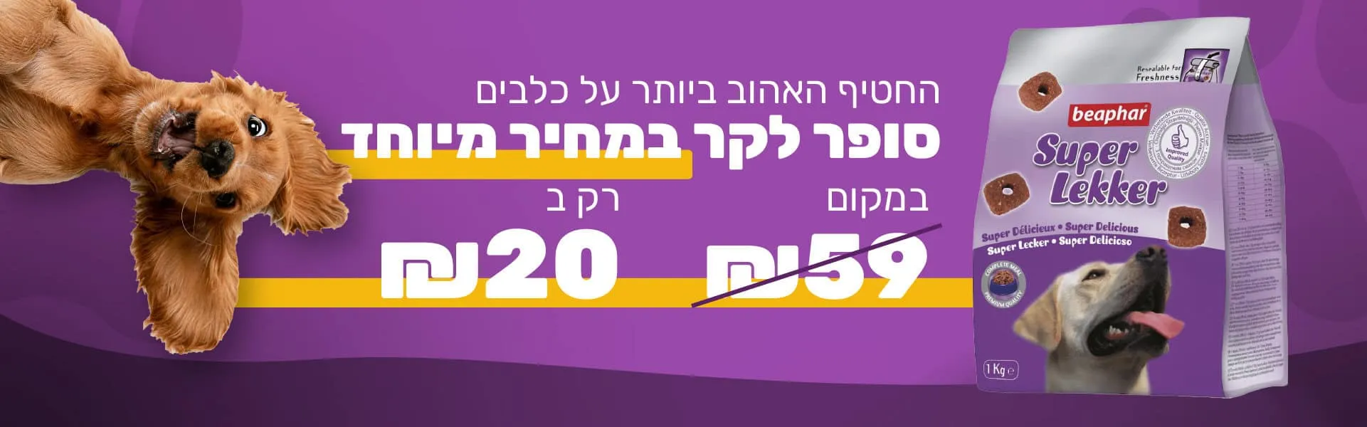 WEB-BANNER-D-1920X600